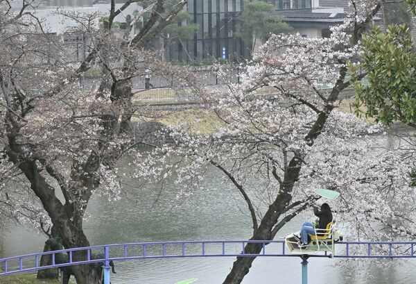 宇都宮市・とちのきファミリーランドは３分咲きほど＝６日午前