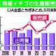 【詳報】栃木県産イチゴ販売額、過去最高を更新　出荷量ともに全国１位確実に　2026年産速報値