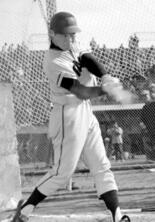 「まさかこのバッターを育てろっていうんじゃ…」打撃バラバラ、守備も下手…