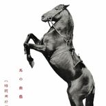 曲馬団　栃木県立博物館・小柳真弓さん　江戸期から盛んな馬の芸　宇都宮に…