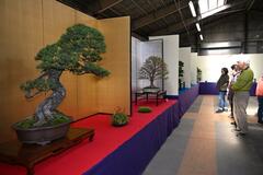 丹精した32席 「秋を感じて」