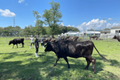 「岐阜大学美濃加茂農場」を応援するクラウドファンディングを開始！