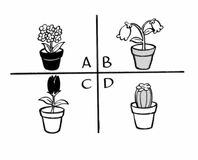 １分間心理ゲーム