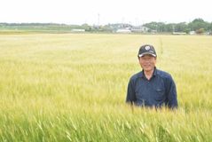 ＜118＞収穫量２位の県産二条大麦　至福の一杯　生む黄金色　「おいしいビール」支える