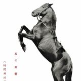 曲馬団　栃木県立博物館・小柳真弓さん　江戸期から盛んな馬の芸　宇都宮に来た「東洋一」