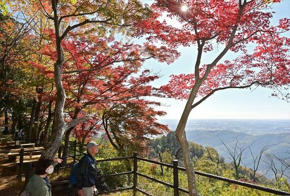 謙信平の紅葉と眼下の街並みに見入る人たち＝21日午前10時50分、栃木市平井町