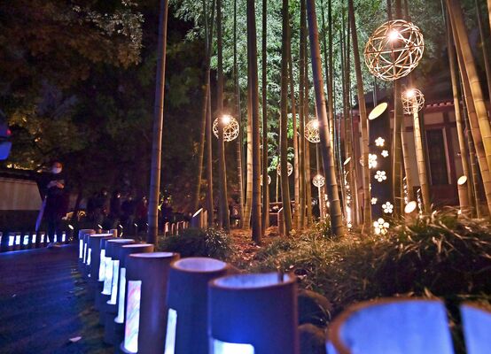 幻想的にライトアップされた足利学校＝４日午後５時55分、足利市昌平町