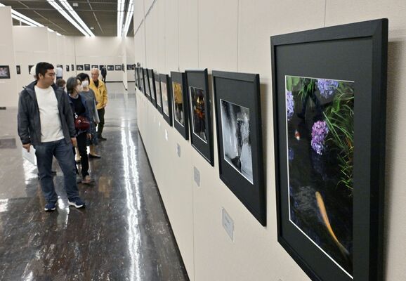 しもつけ写真大賞展の作品に見入る来場者＝10日午後１時40分、宇都宮市本町、森田大地撮影