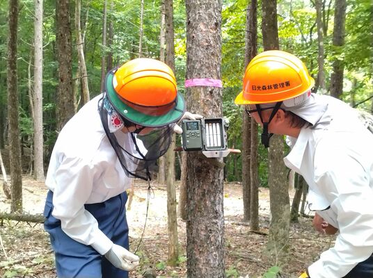 瞬間サンプリング法のために日光市の国有林に設置したカメラ＝日光市