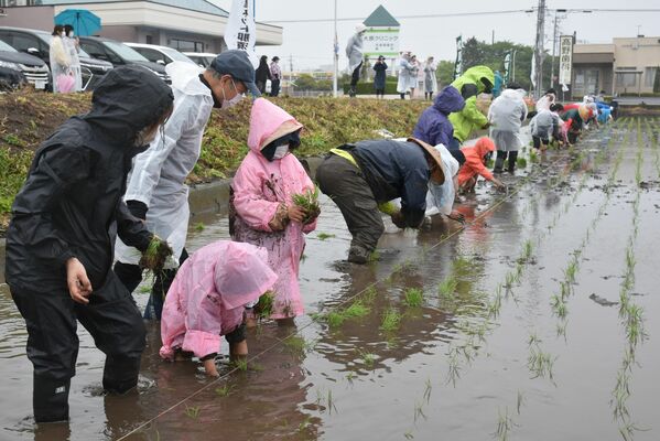 田植えを体験する子どもたち