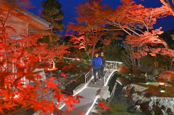 ライトアップされる紅葉が見頃となった日本庭園＝８日午後５時15分、佐野市閑馬町