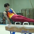 インターハイ栃木県予選体操男子 個人総合・長田(作新学院)が完全優勝 全種目で1位