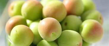 日本一の収穫量を誇る和歌山県の梅をJAタウンで販売開始!