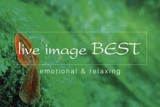 「ライブイマージュ・コンサート」に、 REAL TRAUM、Budo、…