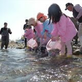 「元気に育ってね」　宇都宮・鬼怒川で園児ら稚アユ放流　友釣りシーズンへ