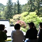 新緑に囲まれ格別の一杯　大田原の雲巌寺で縁側カフェ