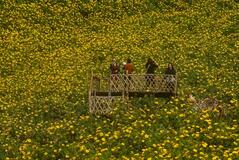 帰り道はある？