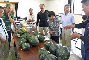 栃木・那須烏山の中山カボチャ　間もなく…