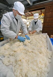 小山で新酒寒仕込み