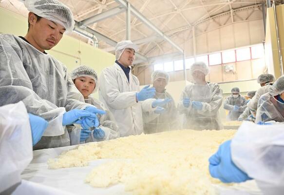 蒸し上げた米を冷ます放冷作業に取り組む参加者