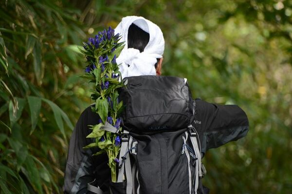 亡くなった４人に手向けようと、４輪のリンドウを担ぎ山道を登る登山者＝８日午前10時35分、那須町湯本