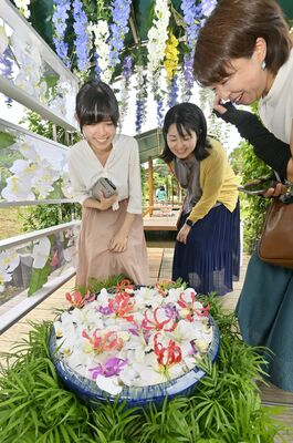 ランなどの花が美しく飾られた花手水＝17日午前11時25分、足利市迫間町