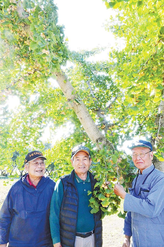 那須ぎんなん倶楽部のメンバー。中央が代表の新江さん