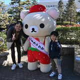 いちご大使「コリラックマ」にファン行列　佐野アウトレットでいちごフェア　