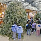 クリスマスアート作品、那須塩原の図書館「みるる」で展示　宇都宮出身のフラワークリエイター篠崎さんの作品　