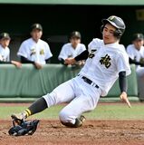 石橋、栃木工など８強出そろう　秋季県高校野球