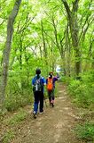 低山ハイキング