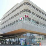 「台湾」訪問団を今月末に派遣 「クビアカ」被害拡大21本確認【真岡市議会一般質問】