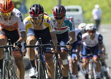 ブリッツェン小野寺２位　ブラーゼン谷は７位　ＪＣＬ８戦