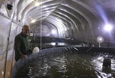 第二の人生 起業に挑戦