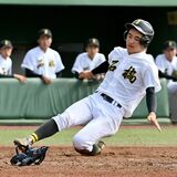石橋、栃木工など８強出そろう　秋季県高校野球