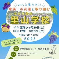 かぬま里山わいん　「ぶどう畑の里山学校」参加者募る