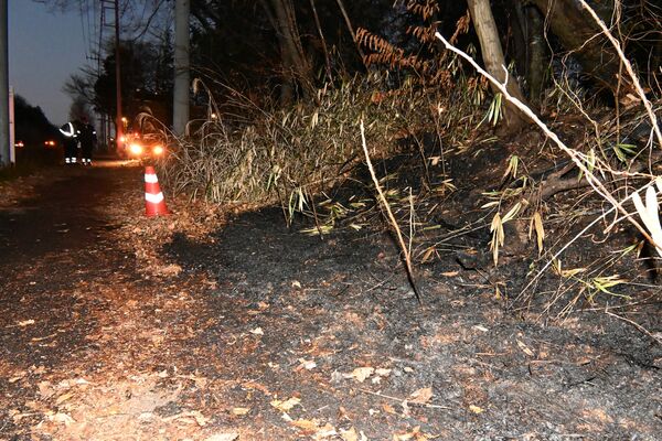 火災があった雑木林＝18日午前6時20分、宇都宮市下砥上町