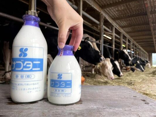砂谷が製造を終える９００ミリリットル（左）と５００ミリリットルの瓶牛乳