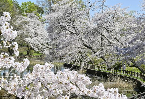 間々田八幡公園(小山)