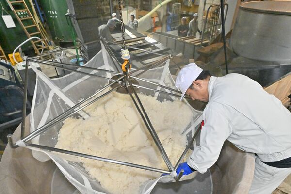 蒸し上がった酒米を手早く冷ます蔵人たち=28日午前8時25分、市貝町上根
