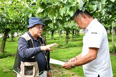 カメムシ大量発生に警戒を　栃木県が２年ぶり注意報　果実の大敵