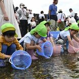 「大きく育って」園児30人が思川に稚アユ3000匹を放流　鹿沼