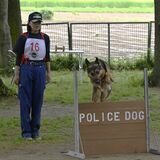 下野で警察犬競技会　49頭と指導士が訓練の成果を発揮