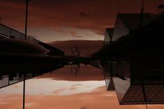 自由　特選　「帰り道」