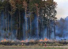 大田原で林野火災　下野写真協会会員 和泉一雄さん写真提供