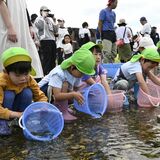 「大きく育って」園児30人が思川に稚アユ3000匹を放流　鹿沼