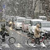 栃木県内広範囲で雪舞う　15～16日、北部で警報級大雪の恐れ