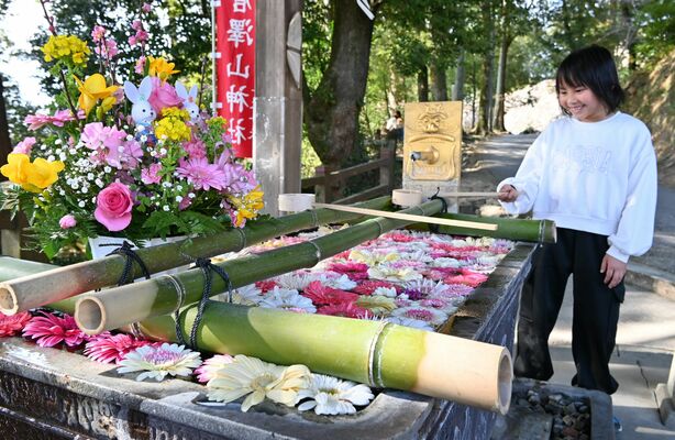 唐澤山神社で始まったひな祭りの花手水