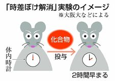 時差ぼけ薬、開発に道？
