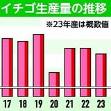 栃木県産イチゴ生産量、56年連続日本一へ　23年産２万４千トン　量は減、台風影響か